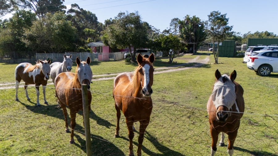 Commercial Property for Sale in Plettenberg Bay Rural Western Cape
